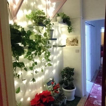 Intero Appartamento Catania Policlinico Гравина-ди-Катания Экстерьер фото